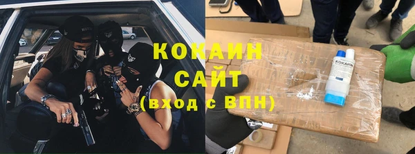 дживик Мегион