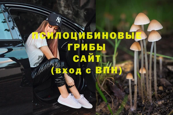 бошки Горно-Алтайск